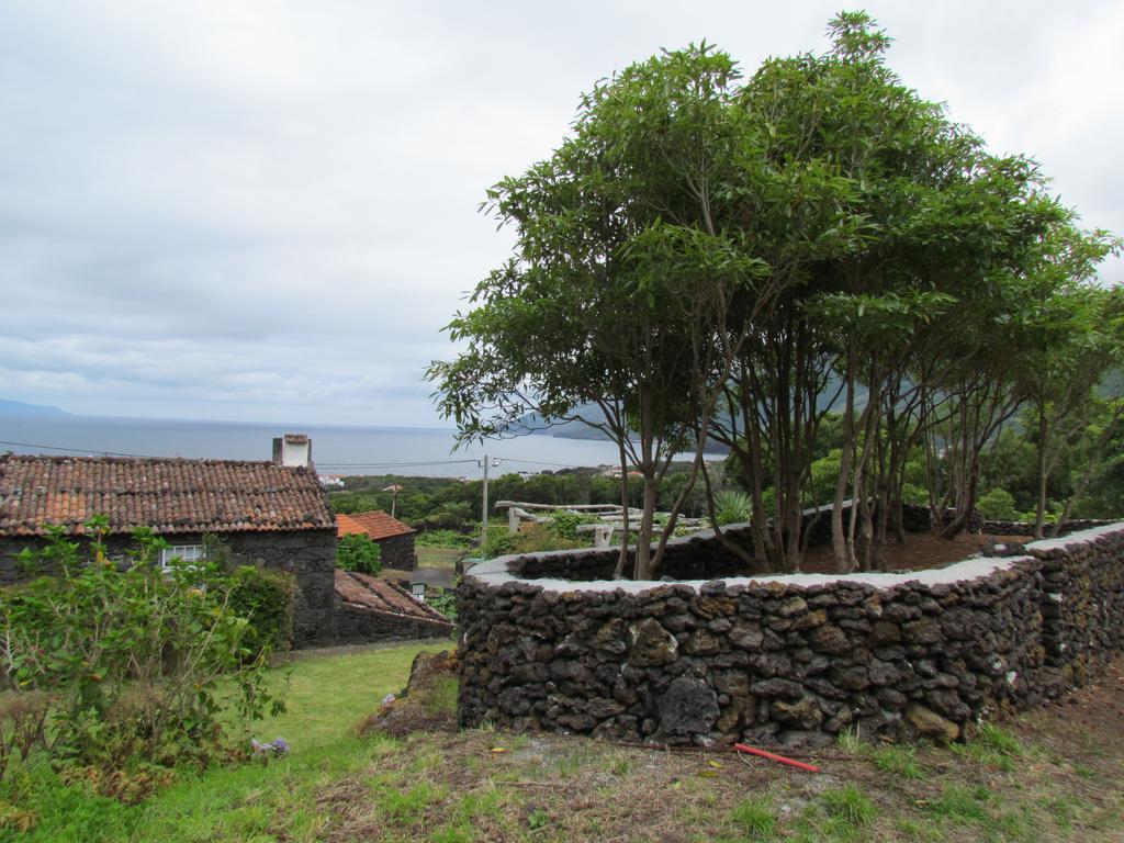 Casas De Campo Housesinpico Prainha  Zewnętrze zdjęcie