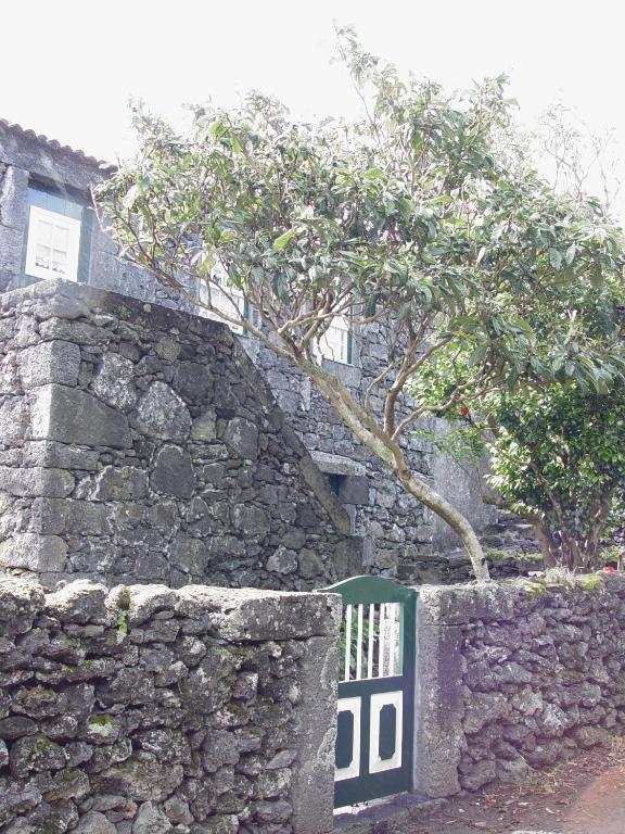 Casas De Campo Housesinpico Prainha  Zewnętrze zdjęcie