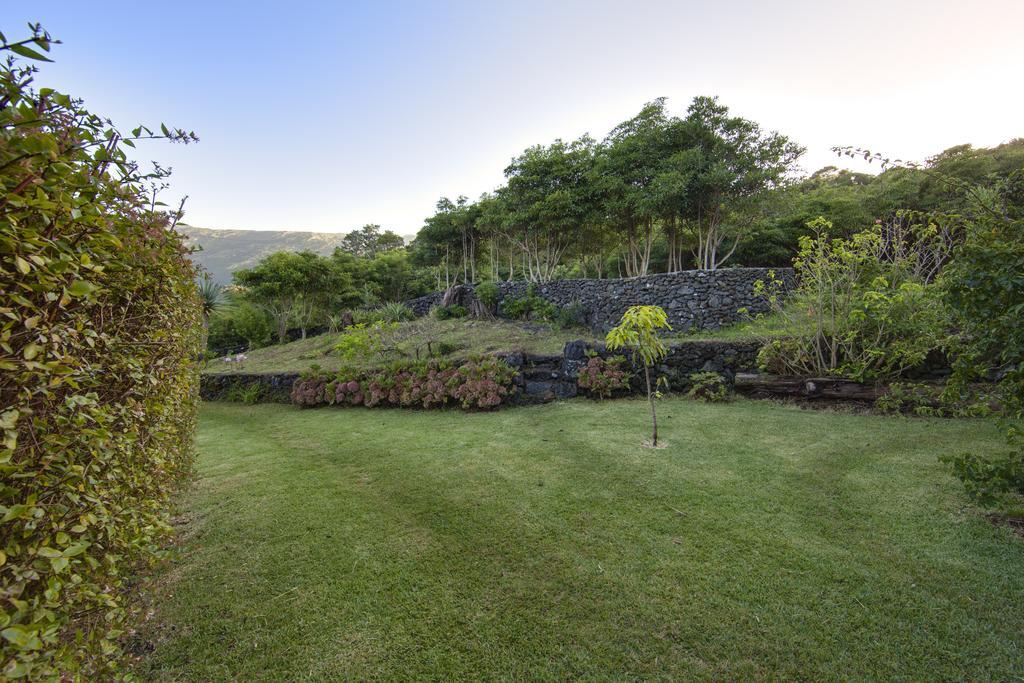 Casas De Campo Housesinpico Prainha  Zewnętrze zdjęcie